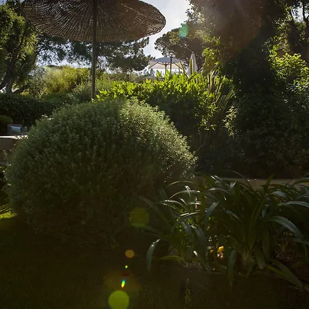 La Bastide D'antoine 4*